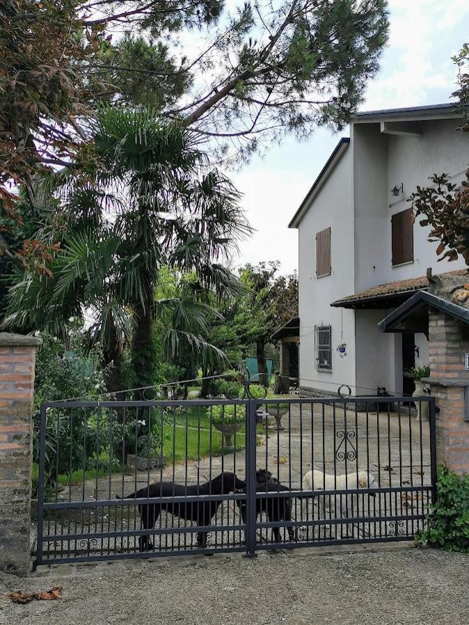 La Casa Di Gim Apartment Lugo  Ngoại thất bức ảnh